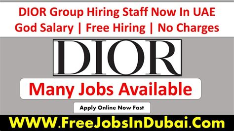 dior fashion designer jobs|Dior job openings.